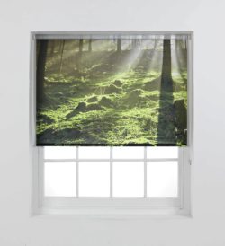 HOME Woodland Scene Daylight Roller Blind - 6ft - Green.